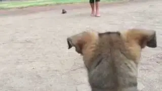 Restrained Recall