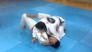 Gracie china Jeff Olsen