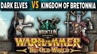 Dark Elves VS Kingdom of Bretonnia - Warhammer The Old World Battle Report