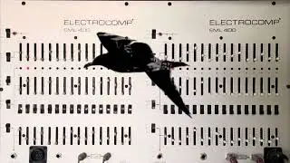 9/28/25 (bird) ElectroComp EML 400/401 + Paia 6740 + DeltaLab Effectron II + MIDIVERB II + CXM 1978