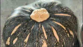 #cutting pumpkin 🎃