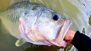 This is why you BASS FISH before a STORM!! (MONSTER)