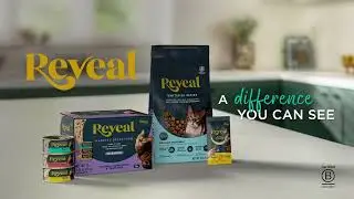 Reveal Natural Cat Food - A Difference You Can See