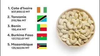 10 Largest Producers of Cashew Nut in Africa (2021)