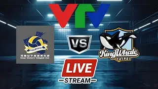 🔴 LIVE: 🇨🇳 HENAN SHUANGHUI vs 🇹🇼 KING WHALE TAIPEI | VTV CUP 2024