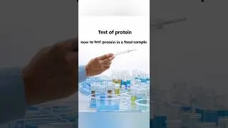 Test of protein in a food sample | How to test protein in a food sample#caseinprotein qualityprotein