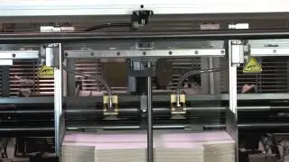 Box Line at Elegant Packaging