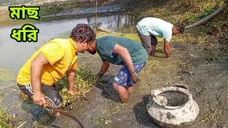 fishing video.amazing hand fishing in our village small pond.Traditional fishing life