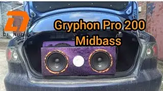Dl Audio Gryphon Pro 200 Midbass.Обзор на  лучшие бюджетные мидбасы.