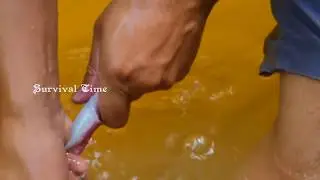 Snake Recipe - Cooking Snake Recipe Near River In Forest