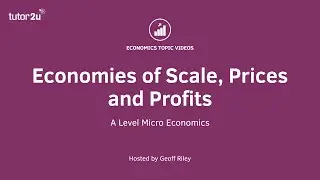 Economies of Scale - Prices and Profits I A Level and IB Economics