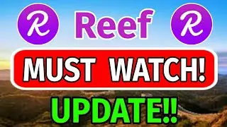 Reef finance Must Watch! Update! || Reef finance price prediction ||