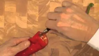 Paprika schoonmaken - Allerhande
