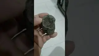chondritic meteorite NWA 869 relics from the birth of the solar system 4.5 billon yrs old@