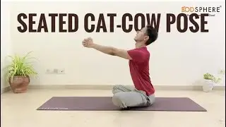 Seated Cat Cow Pose for Thoracic Mobility | Bodsphere
