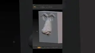 Nose Speedsculpt in Zbrush #art #3danatomy #digitalart #artist  #zbrushsculpting #zbrush  #anatomy