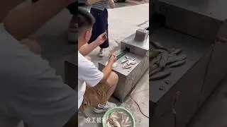 automatic Fish killing machine