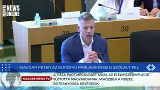 BREAKING NEWS - Magyar P&eacute;ter az Eur&oacute;pai Parlamentben sz&oacute;lalt fel