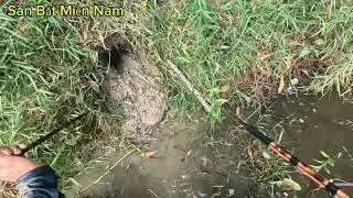 Nay tiếp tục đi săn ở đầm lầy trong rừng  , gặp toàn lươn khủng.