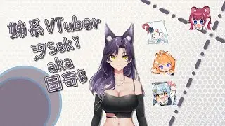 【汐Seki精華】姊系VTuber aka 圖奇惡女．240712