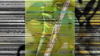 Fotografia de Natureza