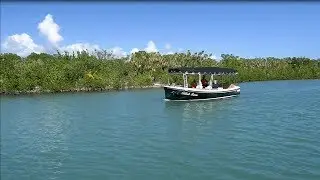 Black Swan Electric Boat Cruise | Shore Excursion | NCL
