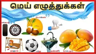 மெய் எழுத்துக்கள் - Mei Ehuthukkal | Basic Tamil Learning Videos |Learn Tamil for All | @MomMomKids