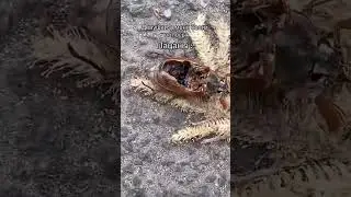 пацаны vs девушки