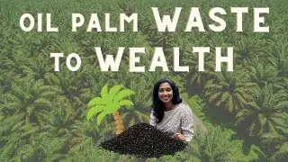 Nomination Award (2022): Oil Palm WASTE to WEALTH (University Sains Malaysia)