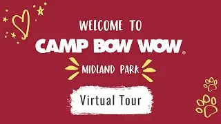 Camp Bow Wow Midland Park Virtual Tour