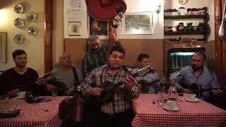 NS Bege&scaron; - Cororo