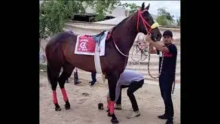 El Borchat Cuadra KinOcuca