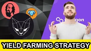 Polygon matic: yield farming strategy update (Qi-Dao & Polycat core)