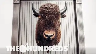 5 & A DIME :: COOL STORE BRO! :: THE HUNDREDS