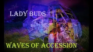 Lady Buds   A Musical Documentary
