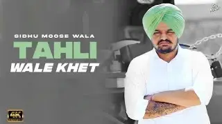 Siddu muse wala song ❤️||new song||❤️
