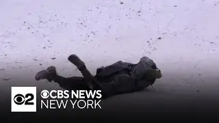 Central Park turns into the sledding capital of NYC