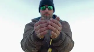 Prairie Organic Vodka - Farm Crafted John Sather