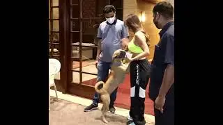 Malaika Arora aristocratic look in green top Looking Superb || V Media Entertainment