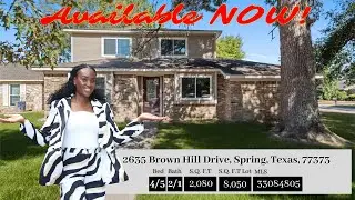 Hidden Gem in Spring, Texas | Fully Renovated North Spring Home Tour | 2635 Brown Hill