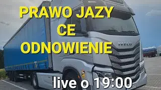 IVECO S WAY 530HP 👍#PRAWO JAZDY CE🤪❓️#PRIME