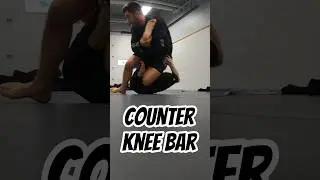counter knee bar #katame #bjj #jiujitsu #nogi #grappling #mma #martialarts
