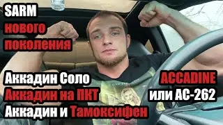 ACCADINE или AC-262 на ПКТ | SARM | АККАДИН СОЛО