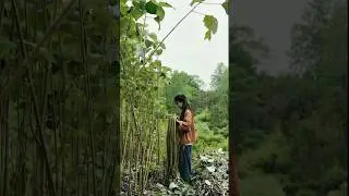 Amazing clothes made from tree bark