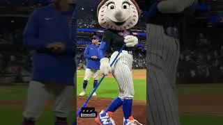 🧹🧹🧹 Mrs. Met