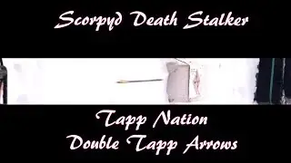 Scorpyd DS Crossbow Test #5 Slo Mo High Speed Video Double Tapp Arrows