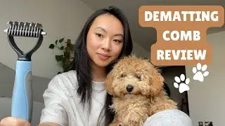 Dematting Dog Comb Review 🐶 | For Stubborn Knots and Serious Matting