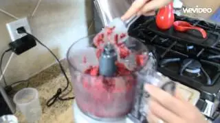 Cuisinart Food Processor Review  Making Frozen Yogurt