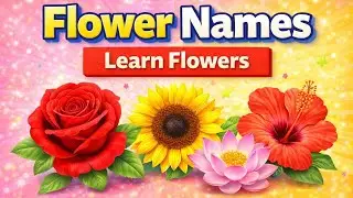 10 ફૂલોના નામ | Flowers Name Gujarati And English