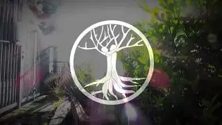 The Five Seasons - EP Promotional Video